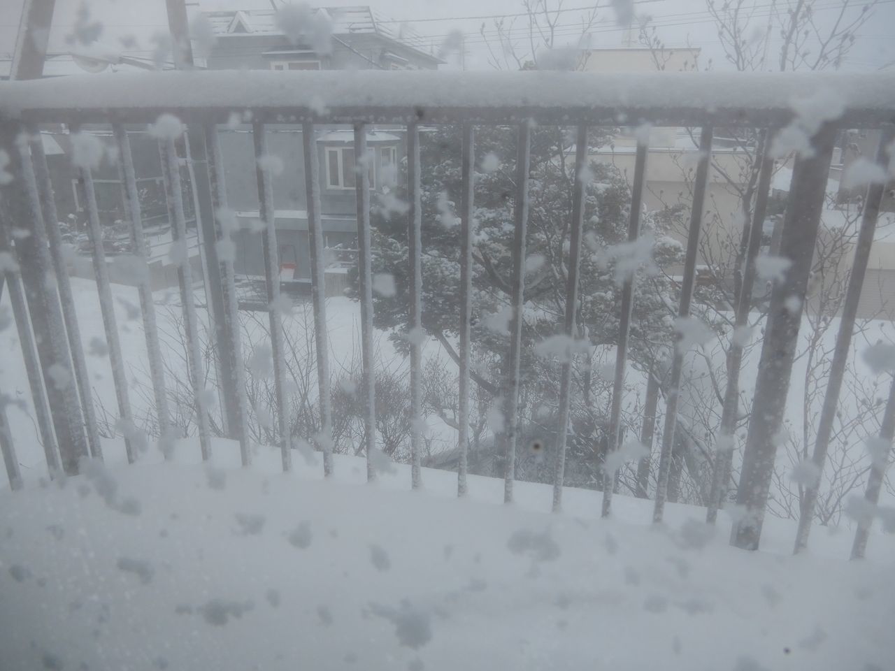 いきなり本格的真冬日戻る_c0025115_23260381.jpg