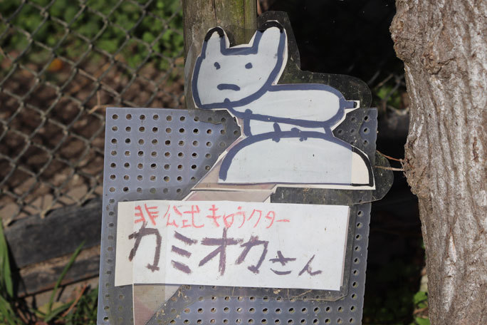 東山動植物園:北園の動物~シンリンオオカミと希少な猛禽たち(December 2019)_b0355317_21421011.jpg