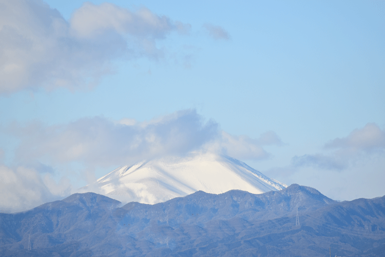 12月26日　お正月の花 揃いました。_a0001354_23132575.gif