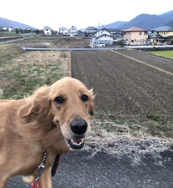 お出かけ。_a0394574_12300485.jpeg