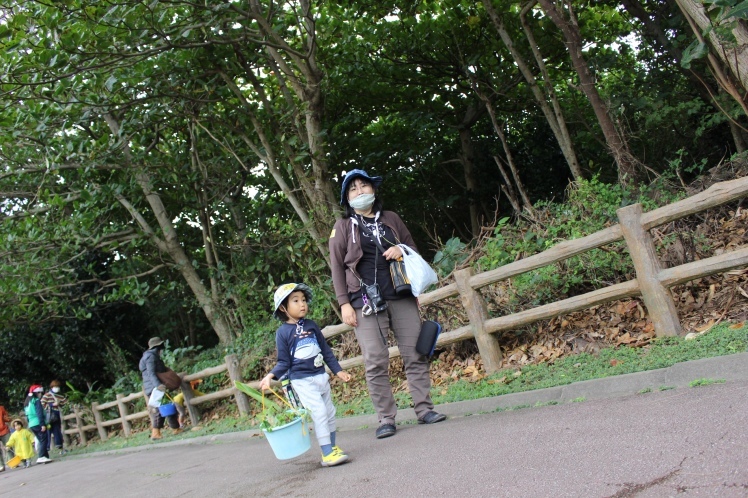 青空ようちえん〔週末〕自然の素材でクリスマスクラフト(12/20)沖縄らしく_d0363878_19371319.jpg