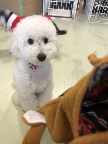 トレーニングブログ_f0357682_02423703.jpeg