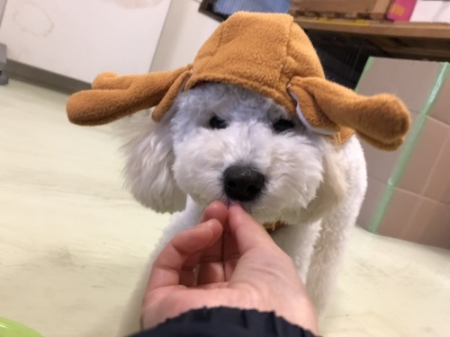 トレーニングブログ_f0357682_02430688.jpeg