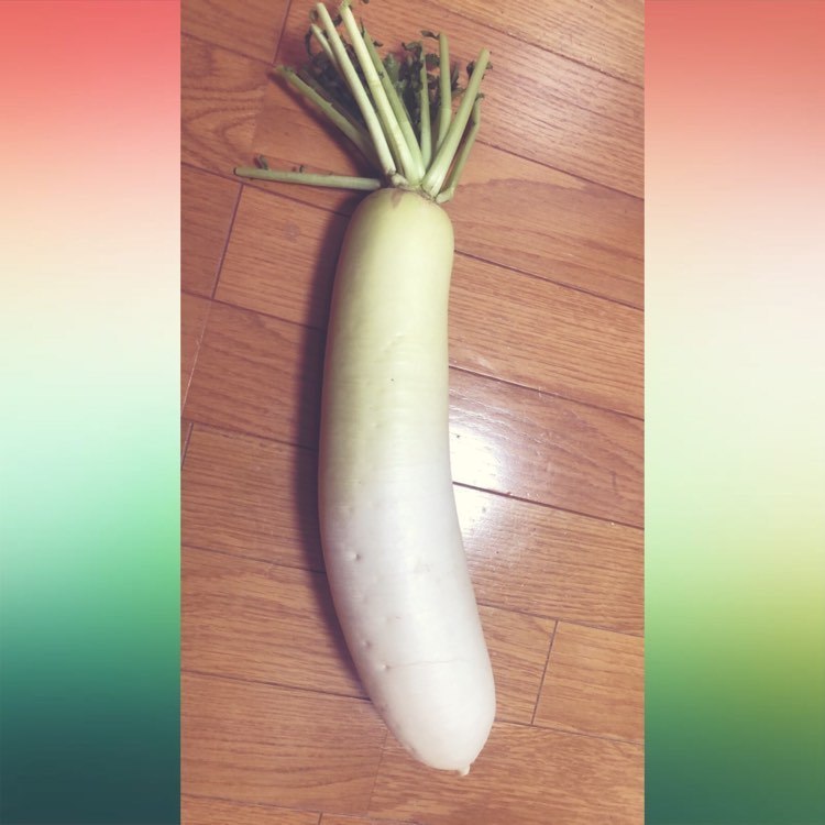 おれも歌えば大根をもらう_e0303005_14503374.jpg