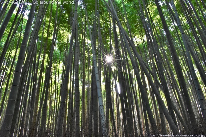 嵯峨嵐山 竹林の小径 の木漏れ日 ワタシの旅じかん Go Around The World