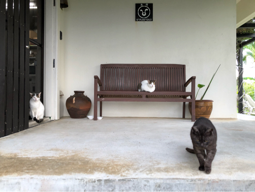 202012宮古島旅行記（13）～うぷらうさぎ、和食での朝食♪_f0207146_13580032.jpg