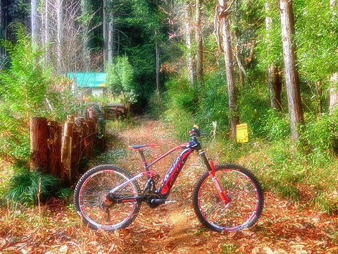 eMTB trail routing II - The Chiyoda Alps mountain range XXXXI_b0049658_14053020.jpg