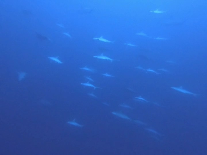 12月27日 お潮が微妙です…_d0113459_17582263.jpeg