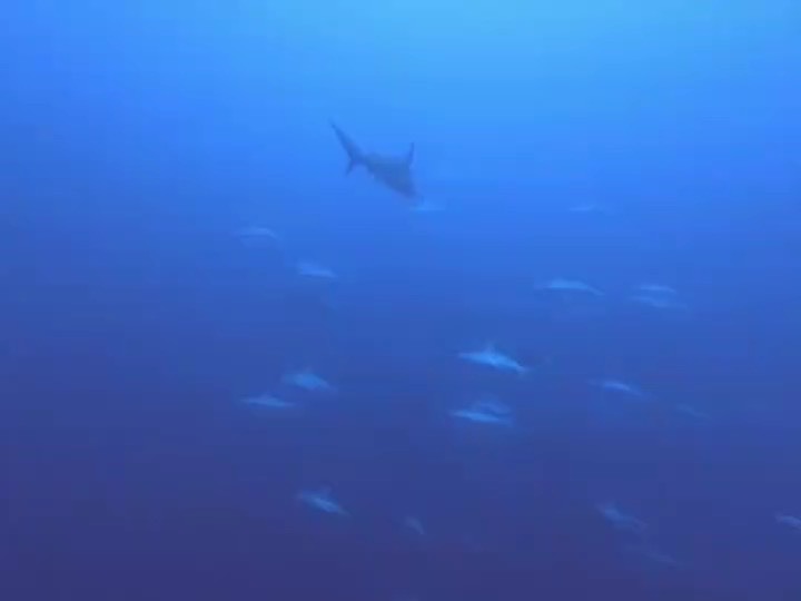 12月27日 お潮が微妙です…_d0113459_17582563.jpeg