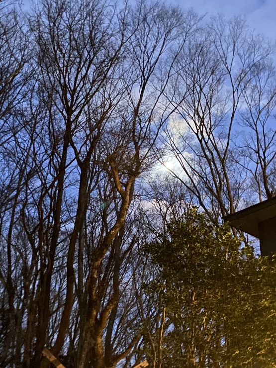 2020年12月27日　開いててよかった_b0098584_20273361.jpeg