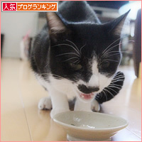 ホタテ祭り_a0389088_13541403.jpg
