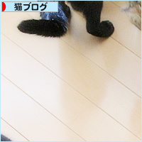 ホタテ祭り_a0389088_13541410.jpg
