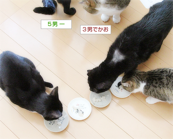 ホタテ祭り_a0389088_13541429.jpg