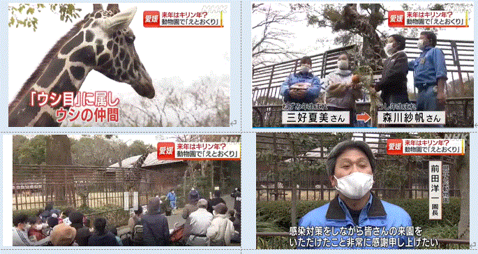 愛媛県砥部町の動物園で えとおくり 12 27 徳ちゃん便り 愛媛県砥部町の動物園で えとおくり 12 27 徳ちゃん便り