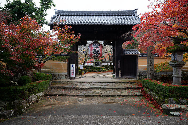 2020湖東の紅葉遠征・其の二(金剛輪寺 前編)_f0032011_19234988.jpg