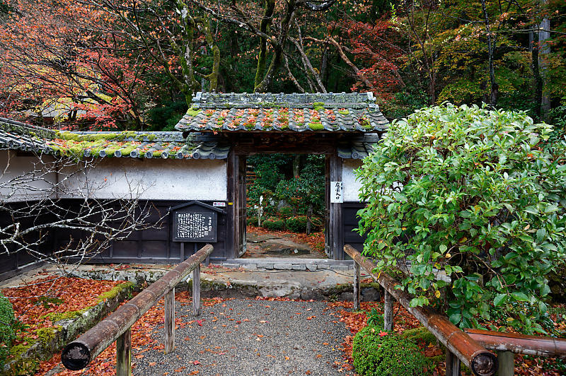 2020湖東の紅葉遠征・其の二(金剛輪寺 前編)_f0032011_19235011.jpg