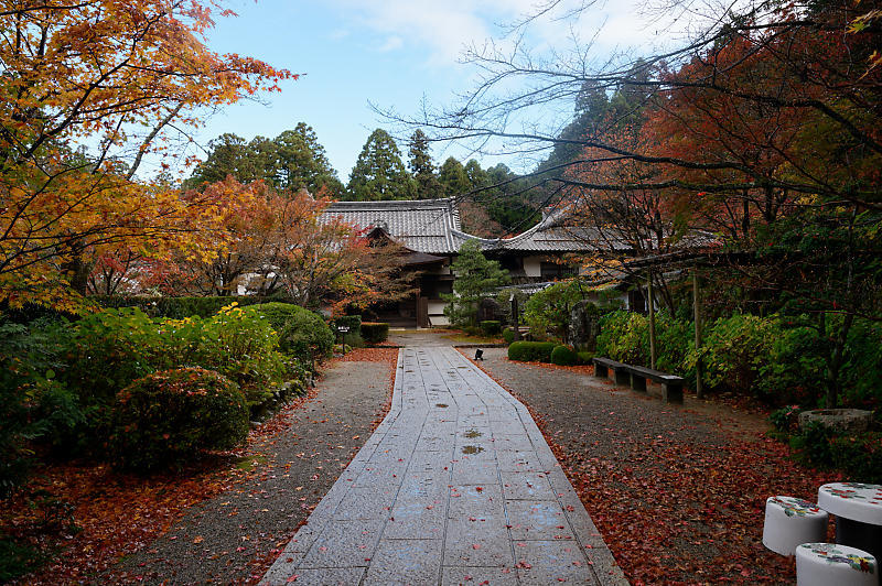 2020湖東の紅葉遠征・其の二(金剛輪寺 前編)_f0032011_19235034.jpg