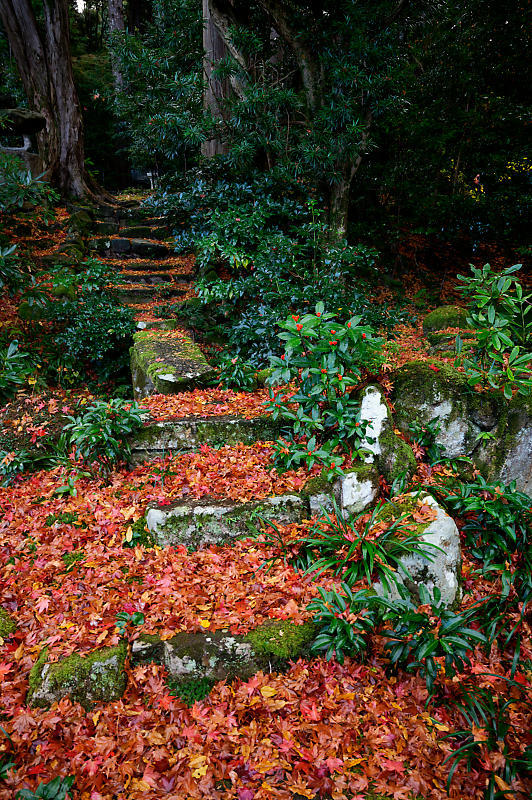 2020湖東の紅葉遠征・其の二(金剛輪寺 前編)_f0032011_19235077.jpg