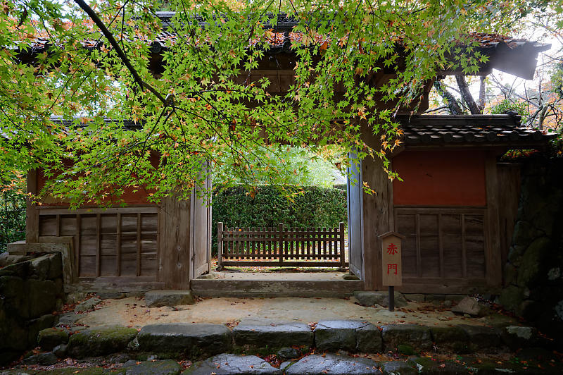 2020湖東の紅葉遠征・其の二(金剛輪寺 前編)_f0032011_19235078.jpg
