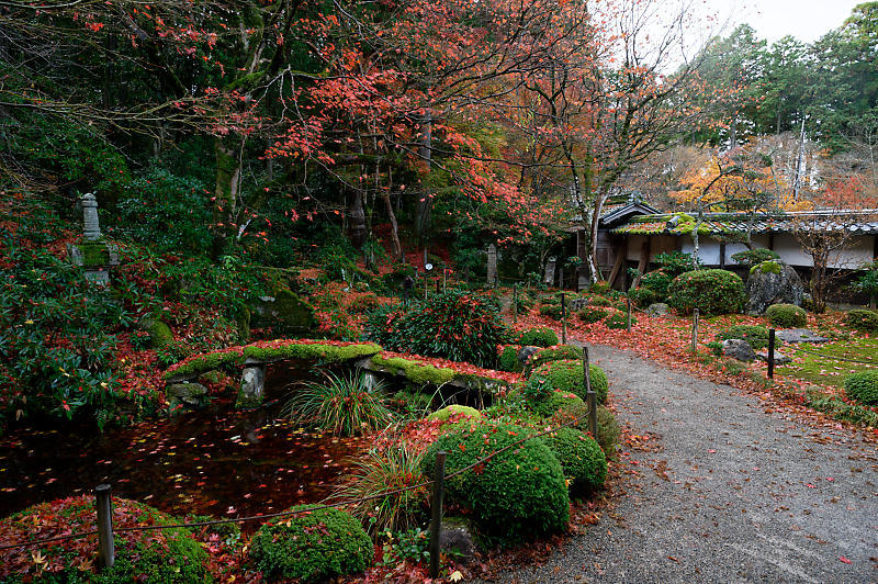 2020湖東の紅葉遠征・其の二(金剛輪寺 前編)_f0032011_19262773.jpg