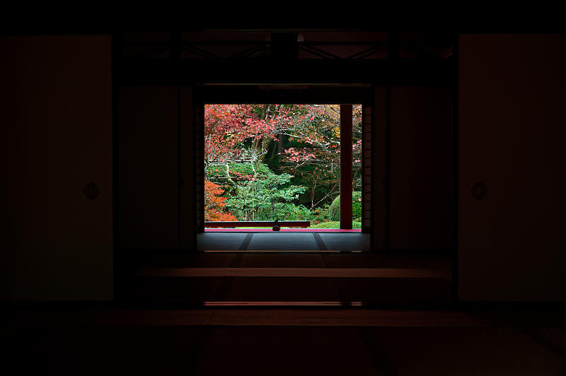 2020湖東の紅葉遠征・其の二(金剛輪寺 前編)_f0032011_19262833.jpg