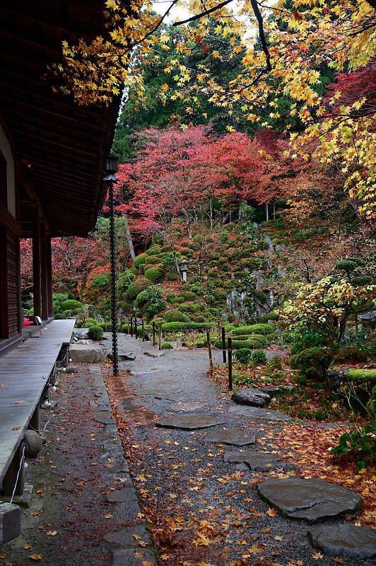 2020湖東の紅葉遠征・其の二(金剛輪寺 前編)_f0032011_19262874.jpg