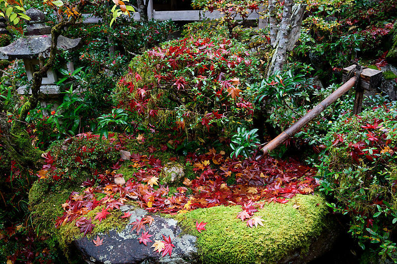 2020湖東の紅葉遠征・其の二(金剛輪寺 前編)_f0032011_19262890.jpg