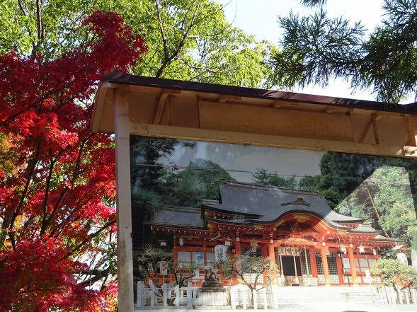長岡天満宮の紅葉 彩の気まぐれ写真