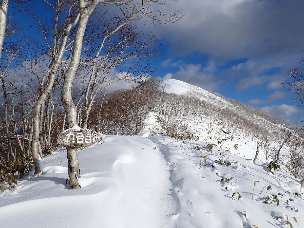 ピセナイ山1027m～後編　2020.12.17_e0352951_16041024.jpg