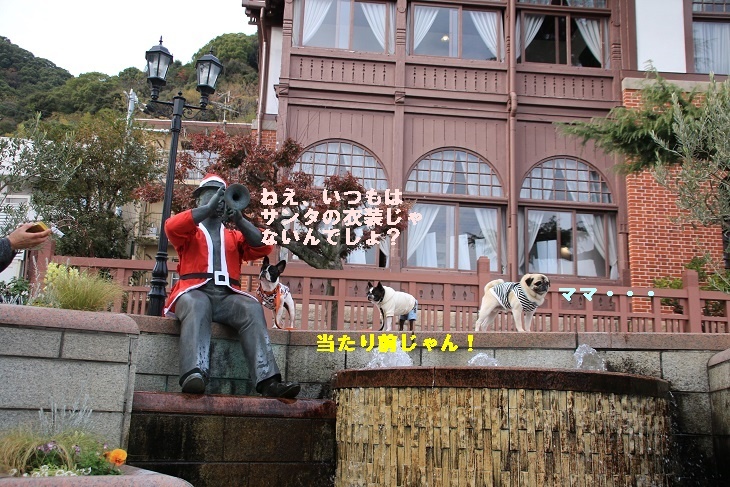 北野~弓弦羽神社、そして、今年最後のワン連れお出掛け_d0155952_14564896.jpg