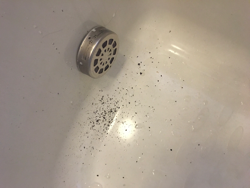 風呂の換気扇からの異音を直す方法、掃除方法_a0021757_08133704.jpg