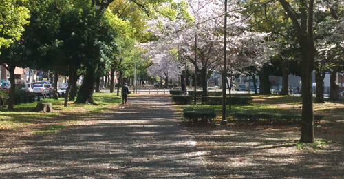 2020年の風景日記_a0166284_11583673.jpg