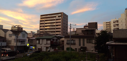 2020年の風景日記_a0166284_12000894.jpg