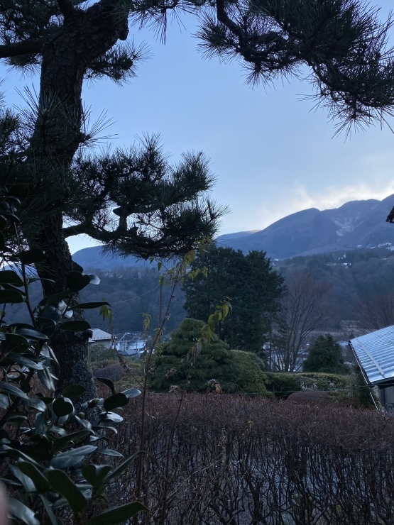 2020年12月28日　年末も年始も_b0098584_21573493.jpeg