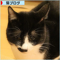 箱姫ヒナ_a0389088_03224407.jpg