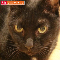 箱姫ヒナ_a0389088_03224426.jpg