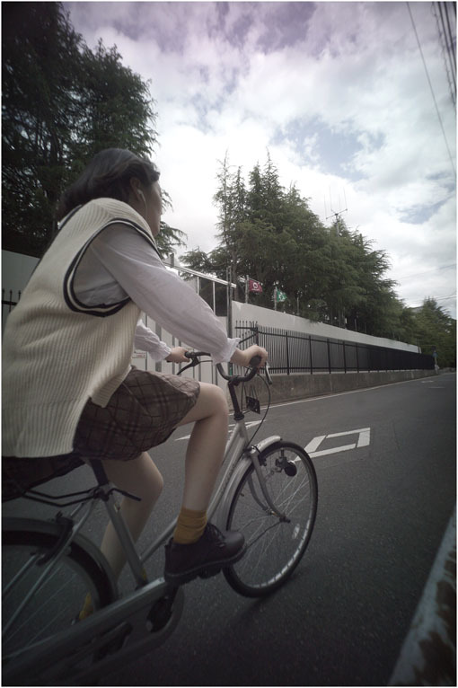 2208 高ころびに(2020年5月24日ホロゴン15mmF8が奈良町に通常偵察に出撃したら)黒川検事長_b0226423_20452833.jpg