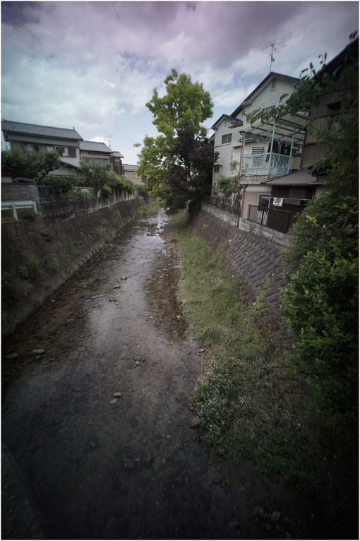 2208　高ころびに（2020年5月24日ホロゴン15mmF8が奈良町に通常偵察に出撃したら）黒川検事長_b0226423_20454933.jpg