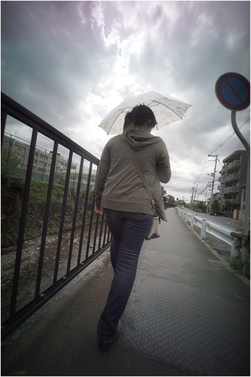 2208 高ころびに(2020年5月24日ホロゴン15mmF8が奈良町に通常偵察に出撃したら)黒川検事長_b0226423_20464098.jpg