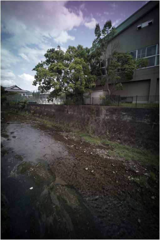 2208 高ころびに(2020年5月24日ホロゴン15mmF8が奈良町に通常偵察に出撃したら)黒川検事長_b0226423_20472632.jpg