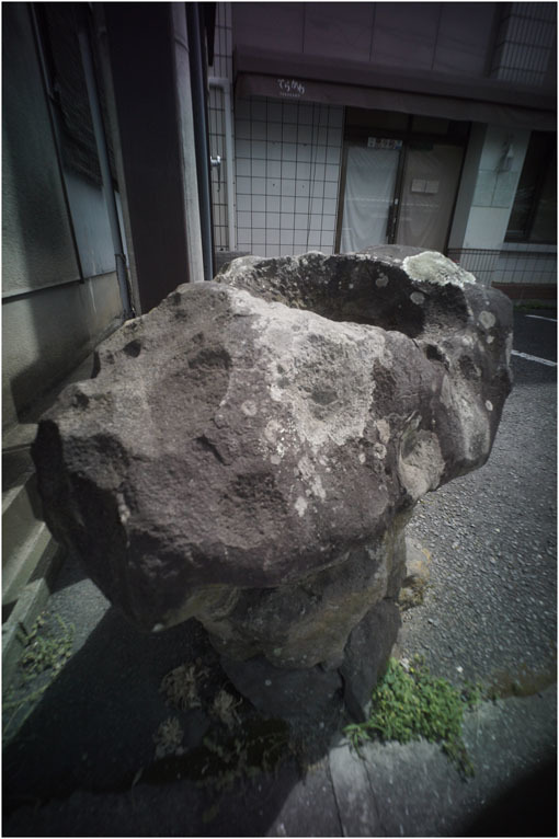 2208 高ころびに(2020年5月24日ホロゴン15mmF8が奈良町に通常偵察に出撃したら)黒川検事長_b0226423_20535586.jpg
