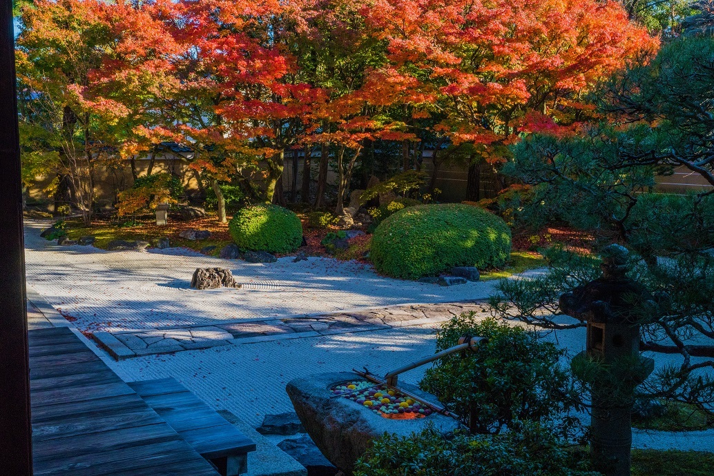 2020京都紅葉～妙顕寺_e0363038_14184331.jpg