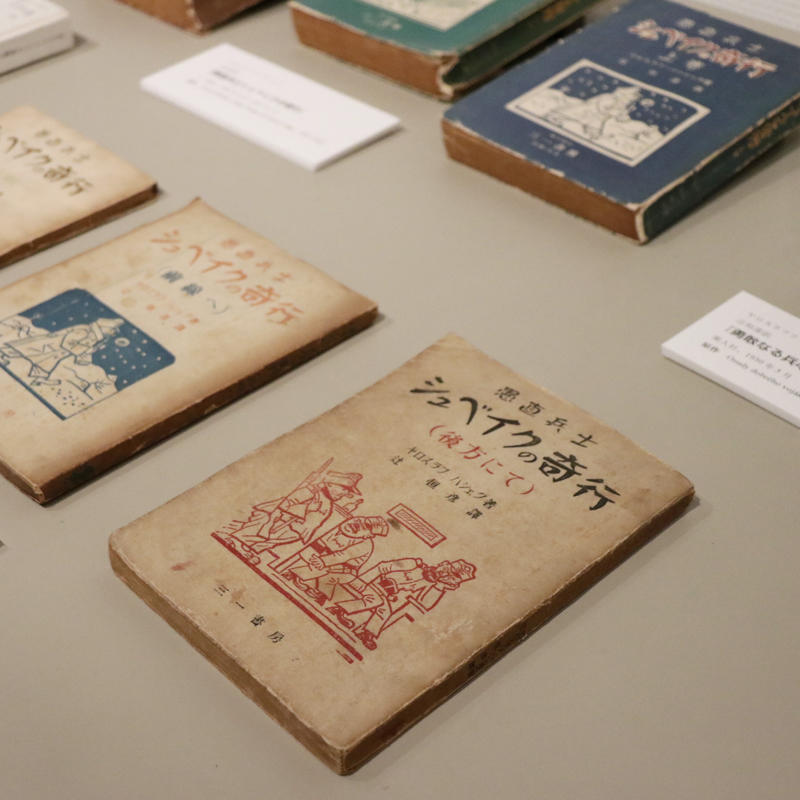 「チェコと日本を結ぶ文学」の展示_c0060143_09595764.jpg