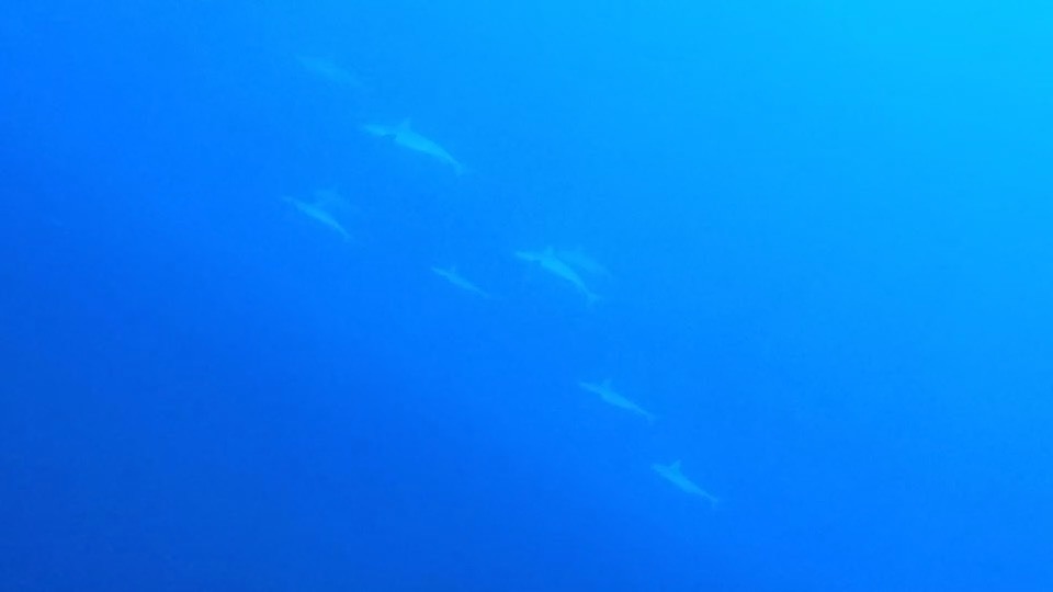 12月29日 嵐の前の静けさ_d0113459_19295988.jpg