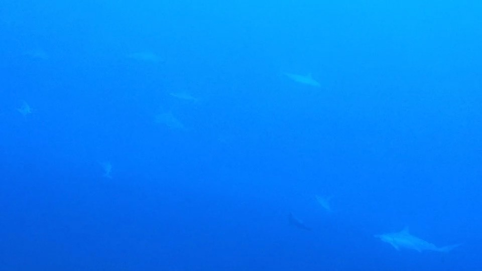 12月29日 嵐の前の静けさ_d0113459_19300741.jpg