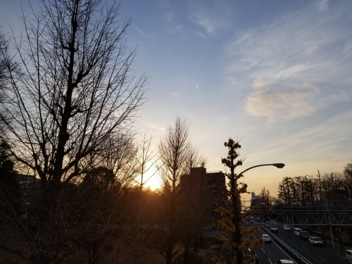 爺はこれから_e0016828_09461337.jpg