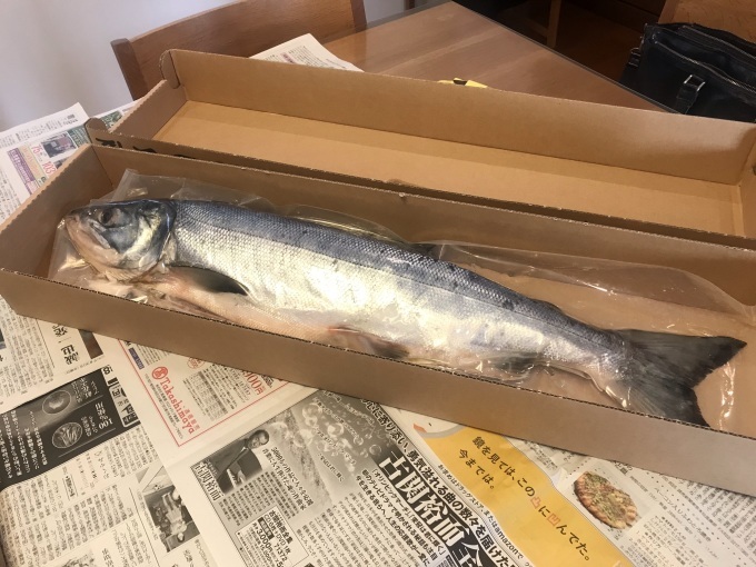 北海道から届いた荒巻鮭_b0100062_16372649.jpeg