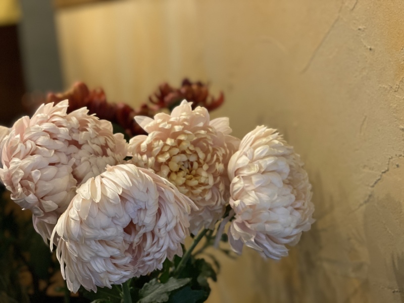 カッコいい苔木で正月花を 花編 花で彩る Atelier Bleu カッコいい苔木で正月花を 花編 花で彩る Atelier Bleu