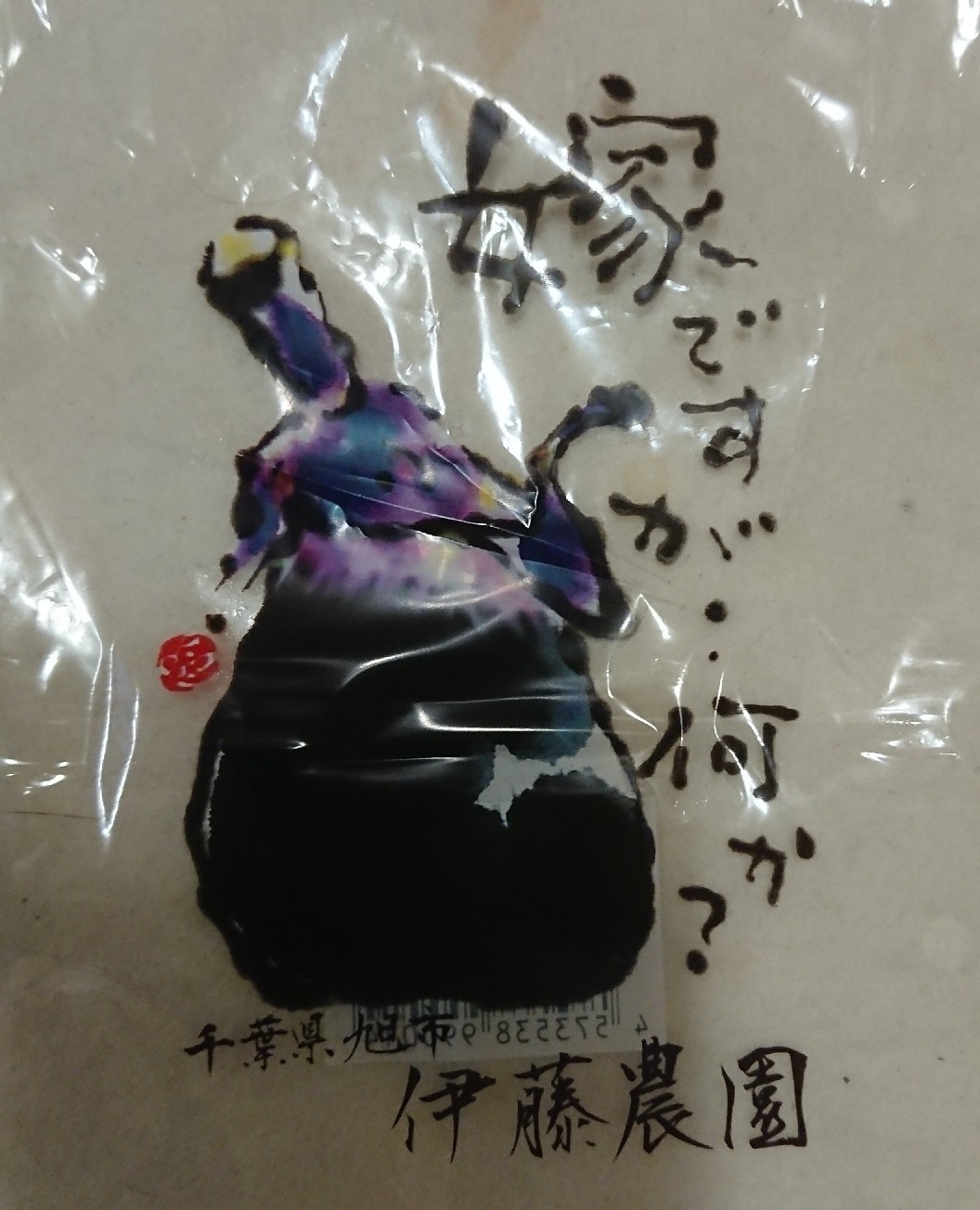 伊藤農園のナス「嫁ですが…何か?」_b0124466_20104222.jpg