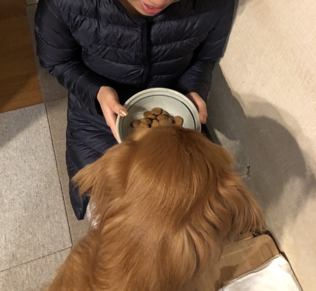 泡だからこそ。_a0394574_13085185.jpeg